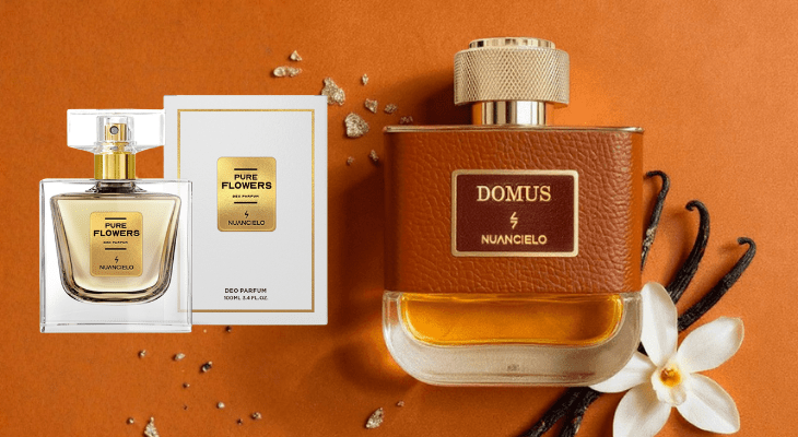 Perfume contratipo: as marcas mais amadas!