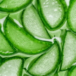 Gel de aloe vera: benefícios e onde encontrar