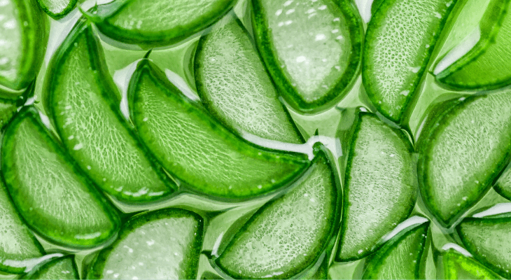Gel de aloe vera: benefícios e onde encontrar